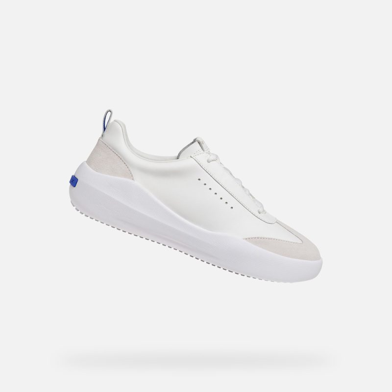 D GXCP-02