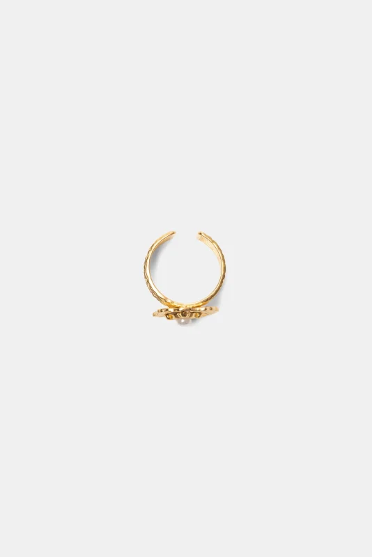 Ring Tolstoi-Lanidor