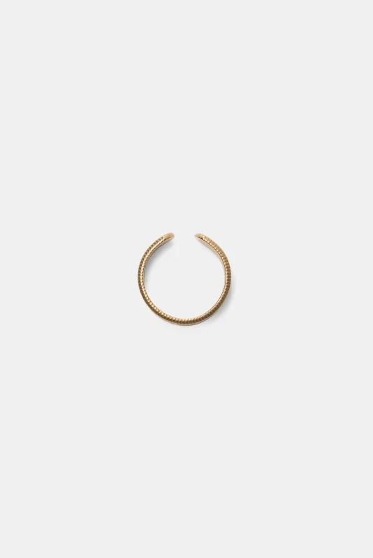 Ring Tolstoi-Lanidor