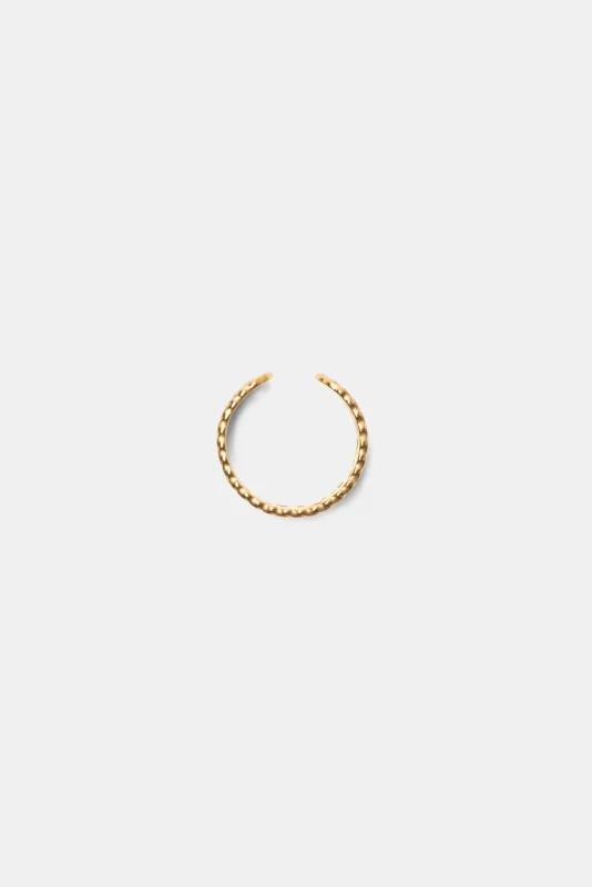 Ring Tolstoi-Lanidor
