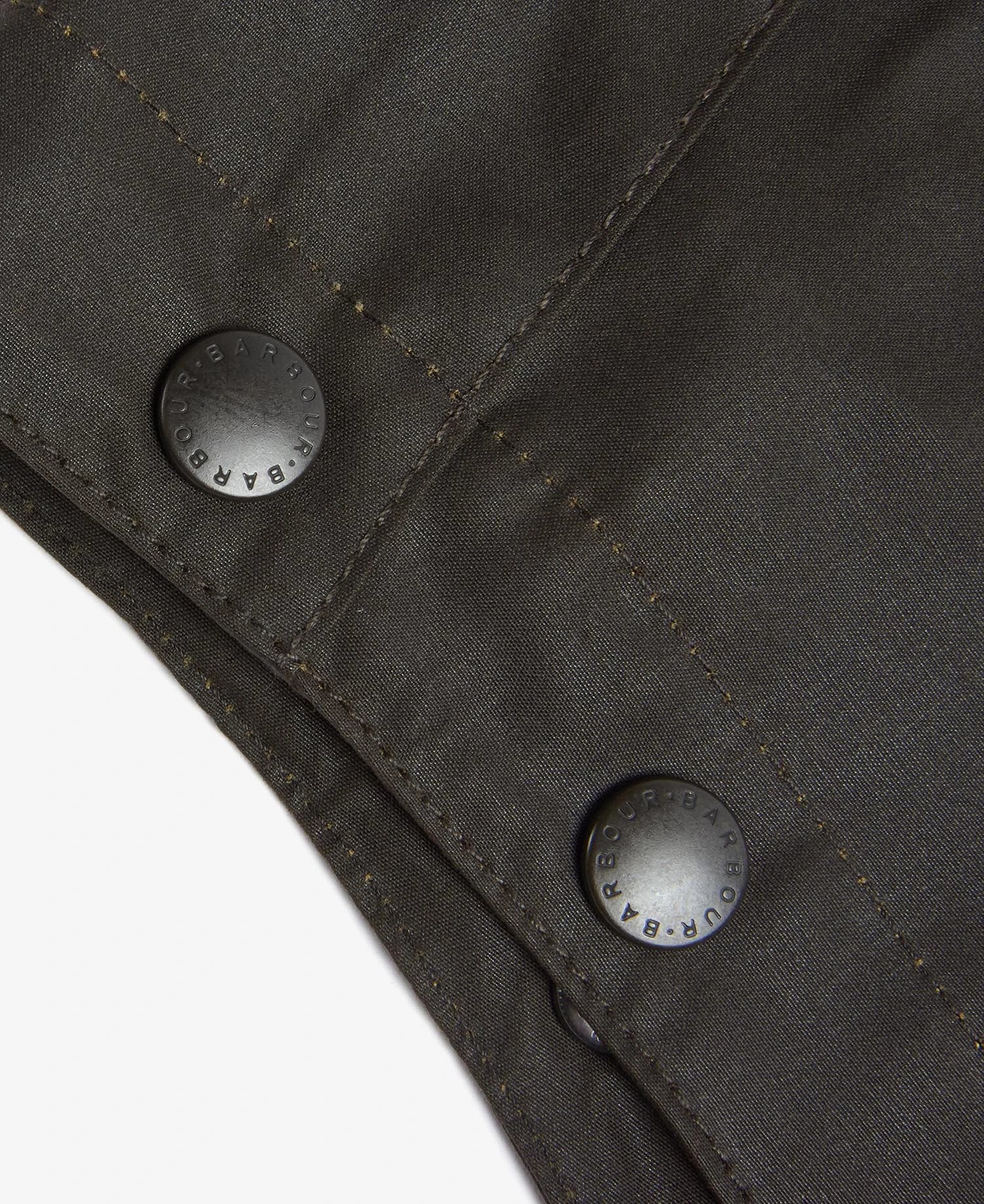 MHO0003OL71-3-barbour-ecuador